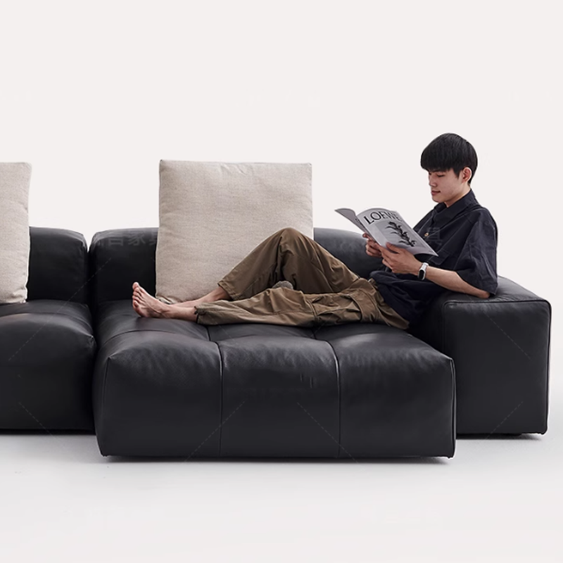 โซฟาหนังนอร์ดิกแบบบีบอัด สไตล์ - Home Cinema Room Design บทวิจารณ์และราคา