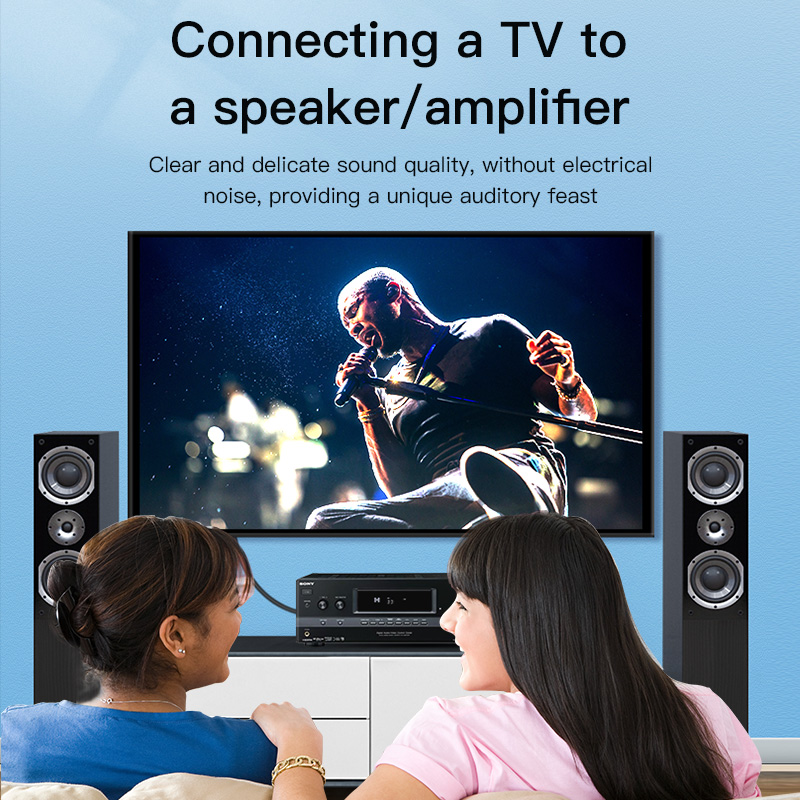 CHOSEAL สาย RCA สายสัญญาณเสียง - Home Cinema Solution บทวิจารณ์และราคา